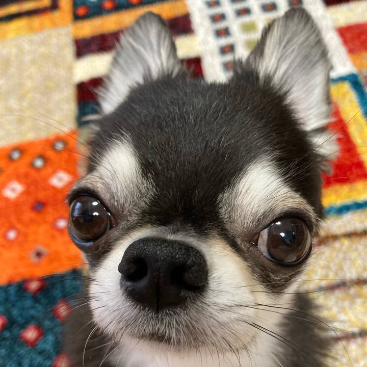 40b2e44f 1bba 41ae 9959 71d28202b494 1682807859656