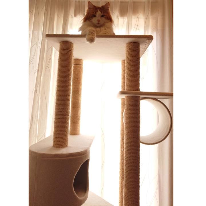 40b2f88c 1cf3 4cd9 b3c4 35b7c15015de 1556763321709