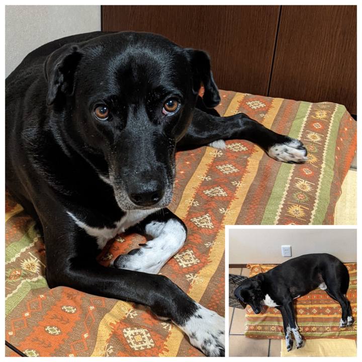 40b2ff84 079e 47e5 b265 cc52db2fd103 1661937919374