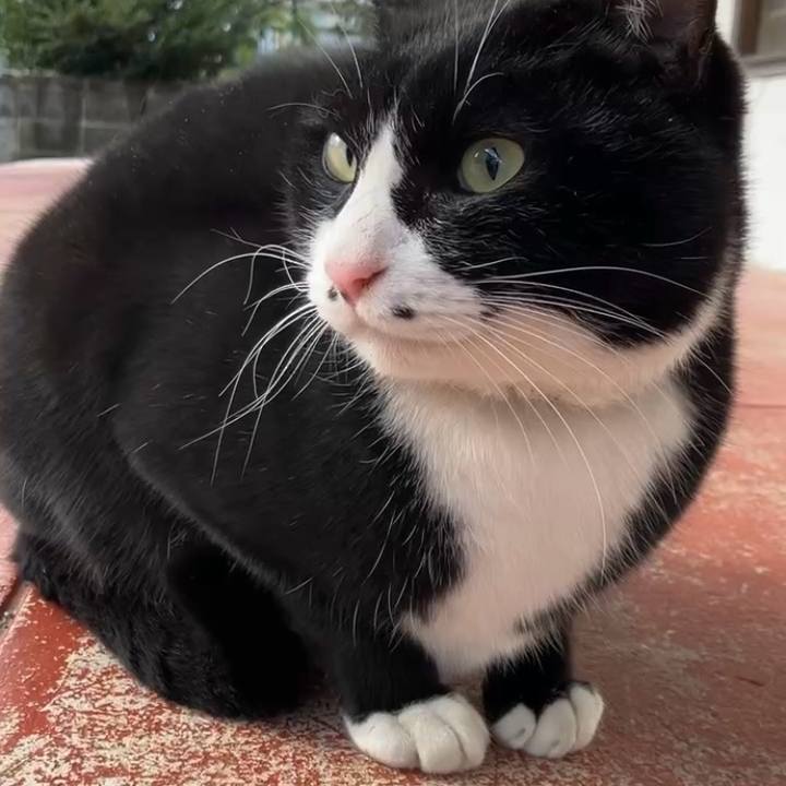 40b301a3 c380 47e0 955f 523bd886d889 1736646059994