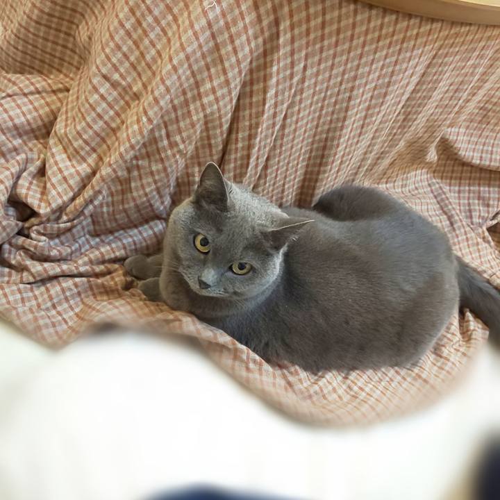 40b322b9 b342 4e1e 9b0f 94f0029df9a0 1761093050133