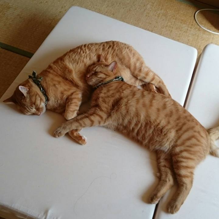 40b32733 b337 4f07 a66e 44a1c023c349 1569589431979