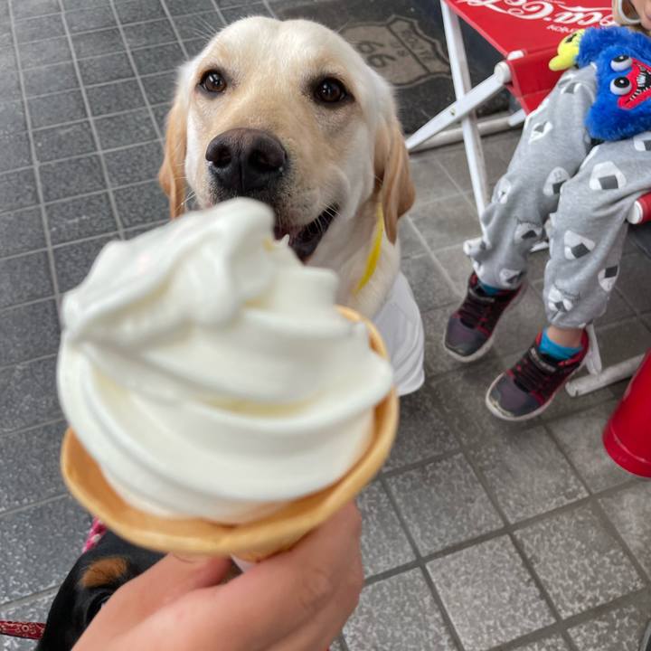 40b33195 1508 44a7 955e cda003f7112c 1649997456186