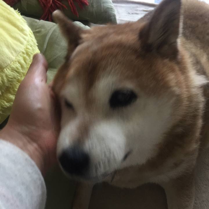 40b3377e 45f1 4c50 a68e be9a8b1e3078 1557874641802