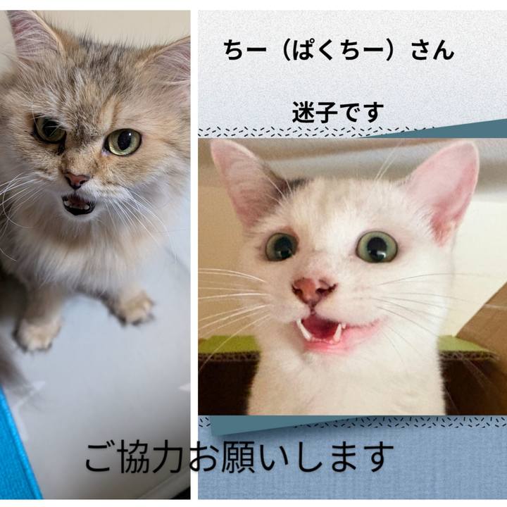 40b377ae 1bc5 425a a72f d009d44574af 1755591443093