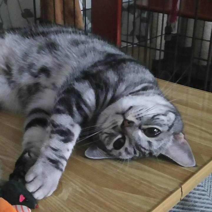 40b382d7 2cb6 4f5f af9e bc41b3aa1116 1598098648496