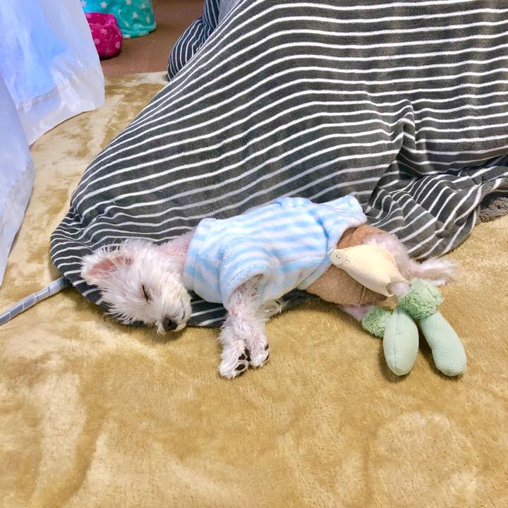 40b39df2 9ab8 4e86 8a76 0c6d91e22a5e 1548373980605