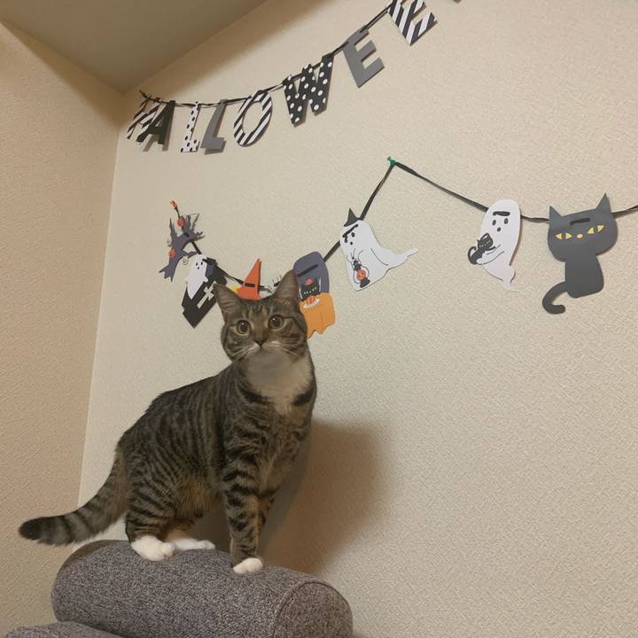 40b3a2b1 c89b 4155 8835 784897e26279 1570104510142