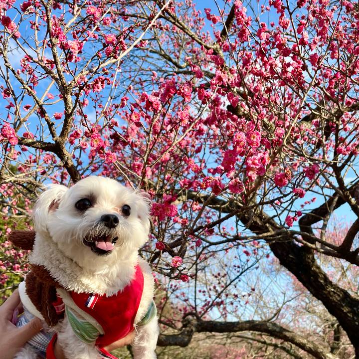 40b3a2cd c7d4 4e38 b009 130601924a83 1644563310822