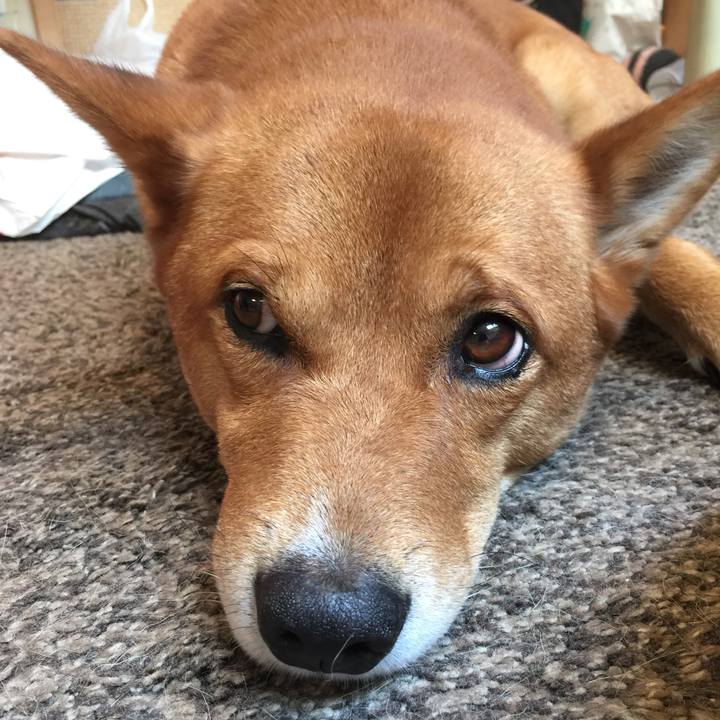 40b3bd59 2a89 424a a4f3 1fb44afc38c5 1570140726991