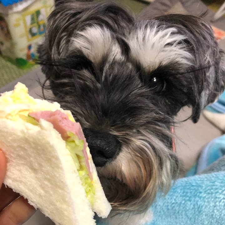 40b3c351 9086 4fd2 be0b e12040342f6b 1580604105459