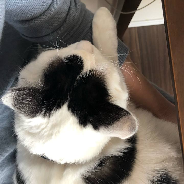 40b3d8f2 576c 488d 9027 25de1f6fe7f5 1550376071269