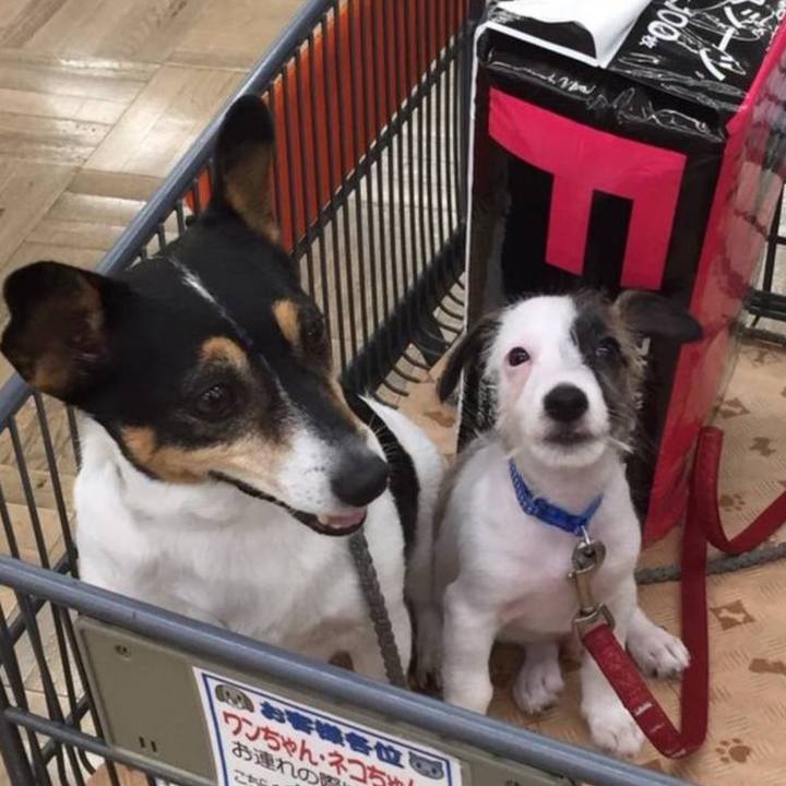 40b3f6b8 424f 4293 835a 19015df7b5b4 1754816902852