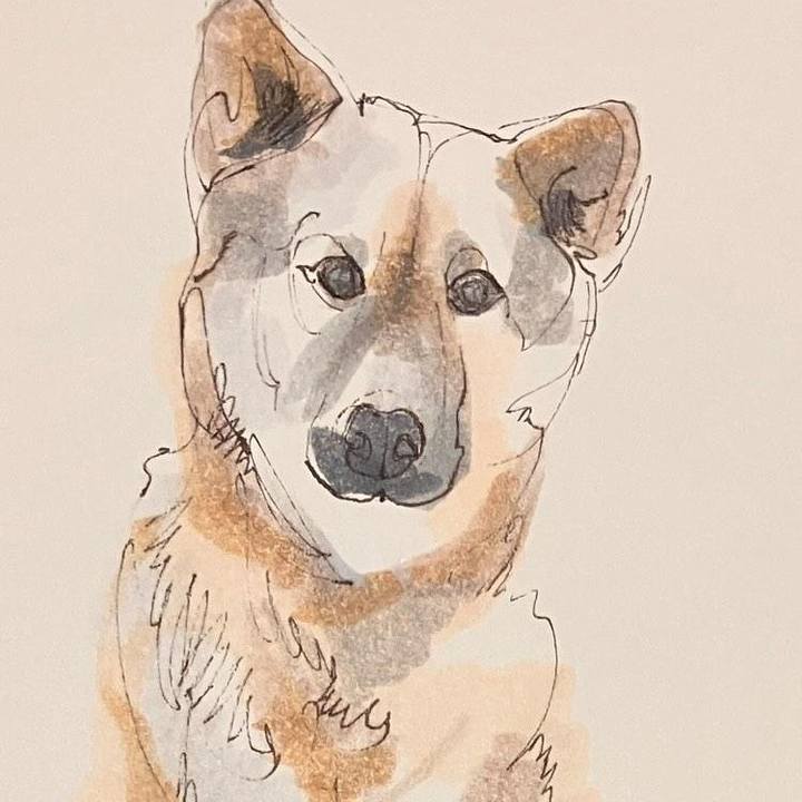 40b422c9 eb47 41a9 96b6 f71d3bfa8e0d 1735001149443