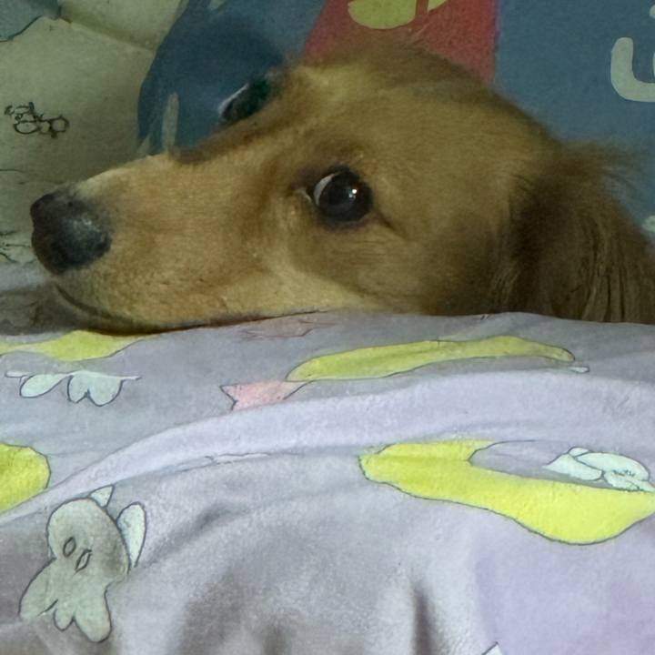 40b43207 4da0 413f bac8 6ae477cbe2f0 1724764726608