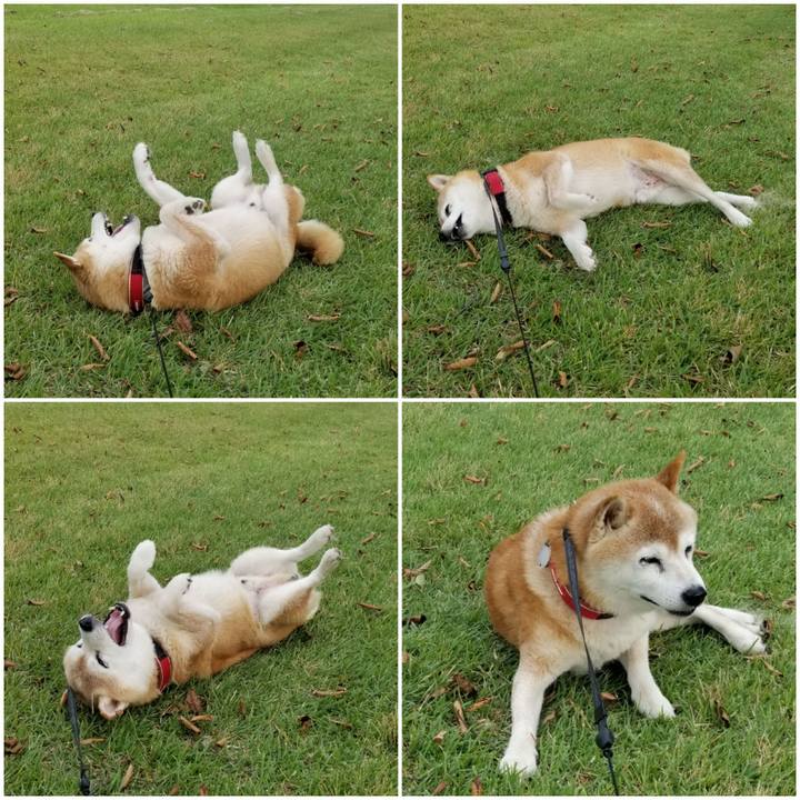 40b43eb3 59e8 4bcc 9852 432cf6beee24 1725347627299