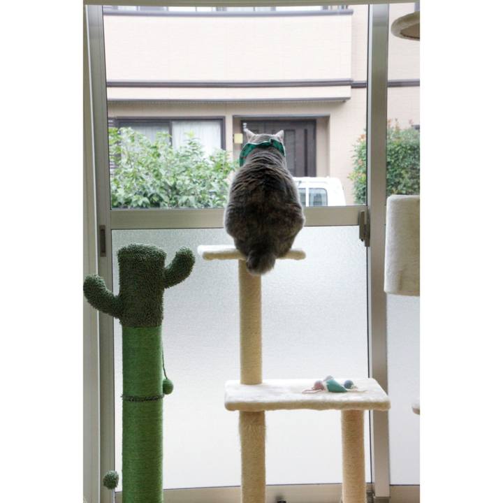 40b45a73 45c8 4e3d 885d 5c7f0e14c656 1661397757646