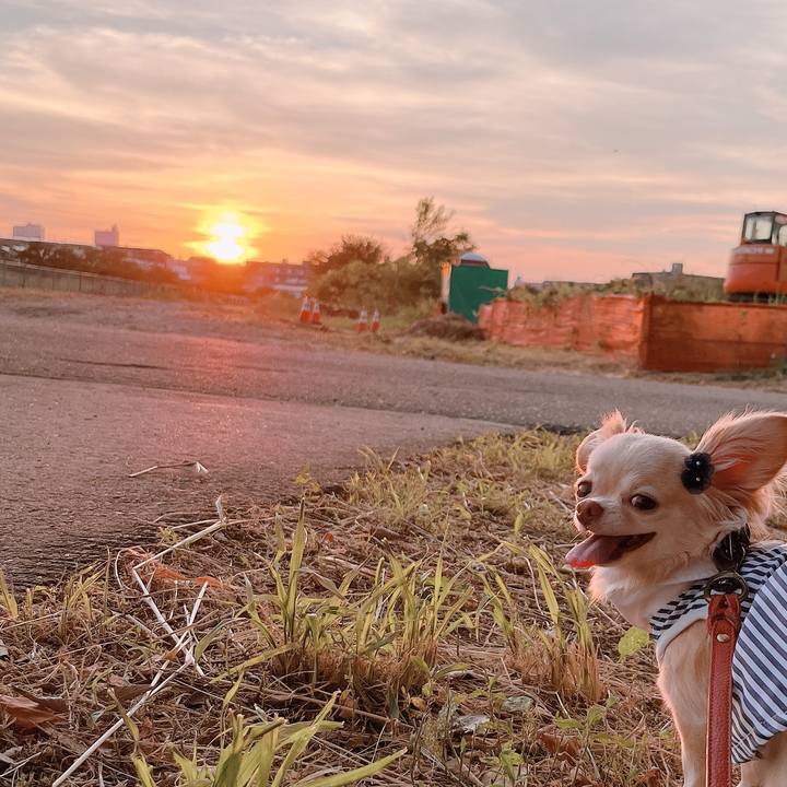 40b45df8 3ba2 4075 b858 34dcdac85258 1656506888552