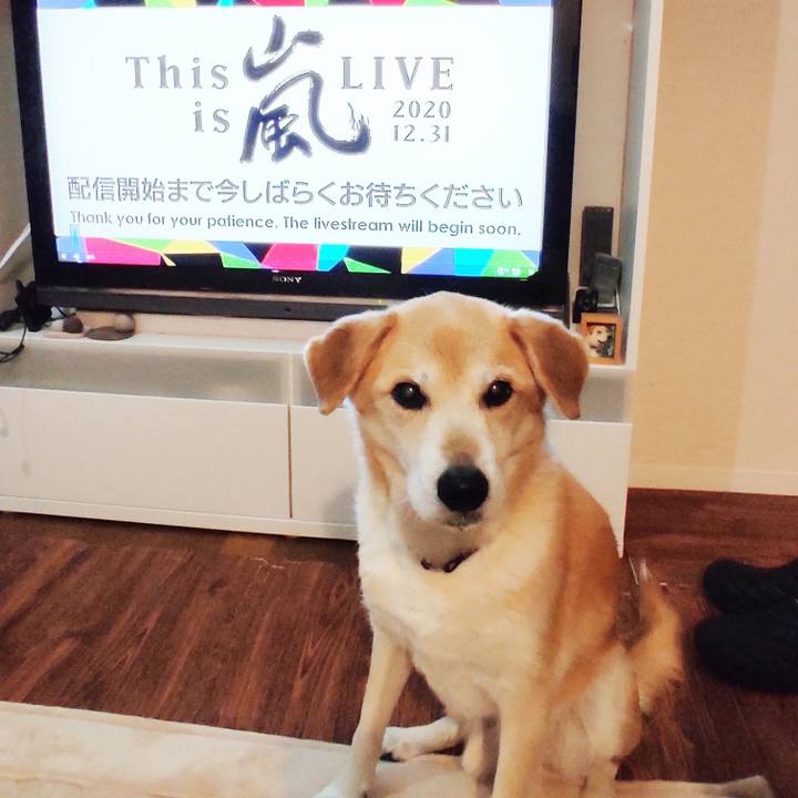 40b47589 54c7 4c73 b1b3 0fdfc1ad9f6c 1609406256847