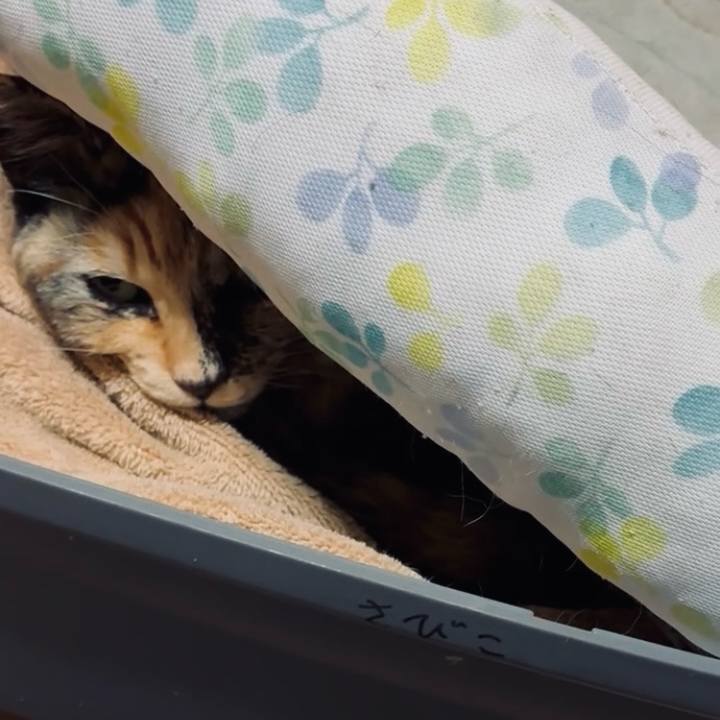 40b4c3b6 8c5f 4751 8abb 87146141712d 1769421099662