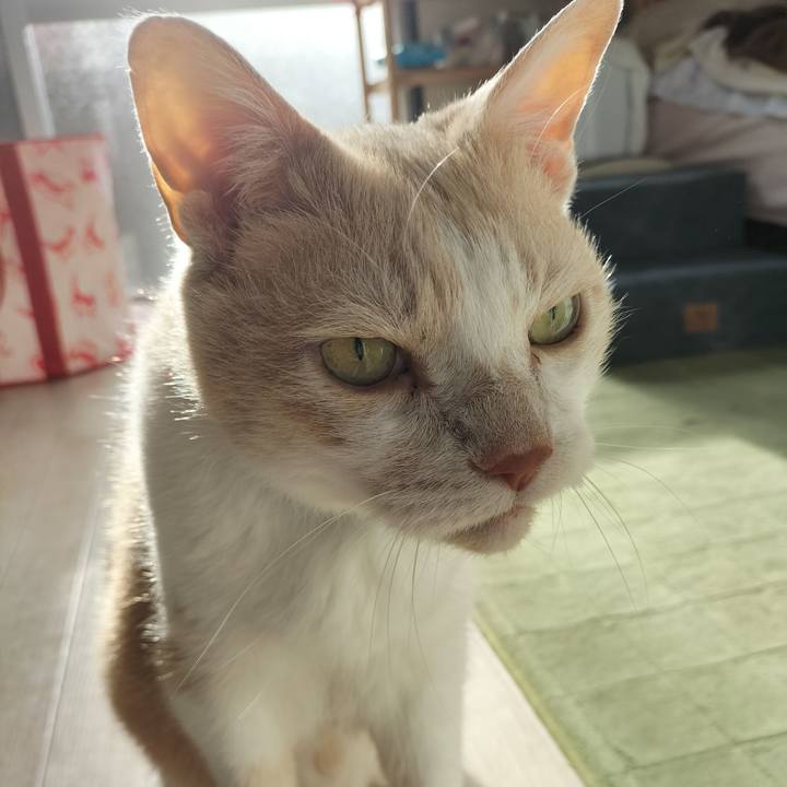 40b4c3c6 0bbd 42a8 a67b fb6e23a6d40c 1652135388094