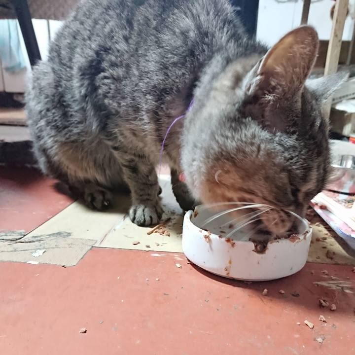 40b4f7f5 30c5 4cb2 92c0 6020fe978e20 1582952674272