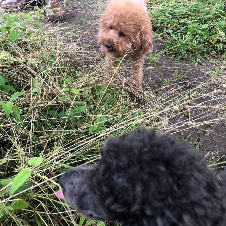 40b4f880 b9f6 4ced 9c69 de96f9a460ae 1589713588234