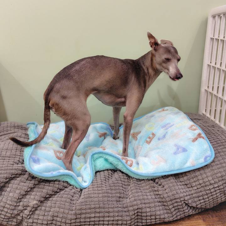 40b51b4b 5d53 4192 99ab 1f6789bb87af 1765536234716