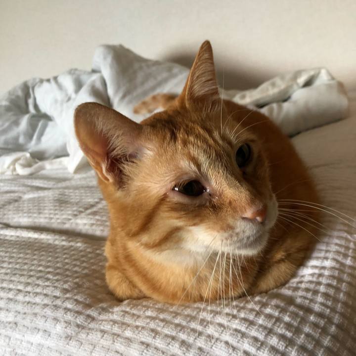 40b520b9 bc09 4a41 bb8c 039797a44c44 1599513178950