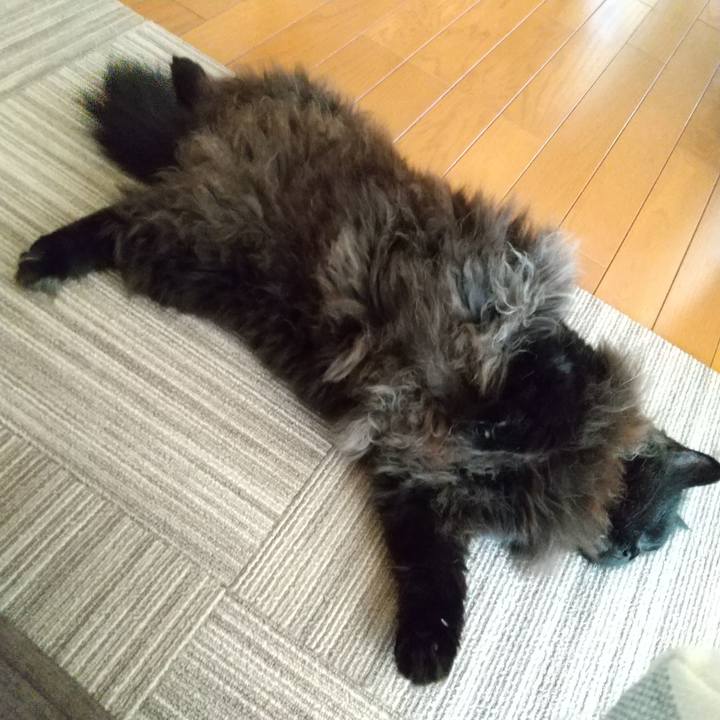 40b52d7a 0f31 4559 9086 ec829d5d8dcf 1631260213084