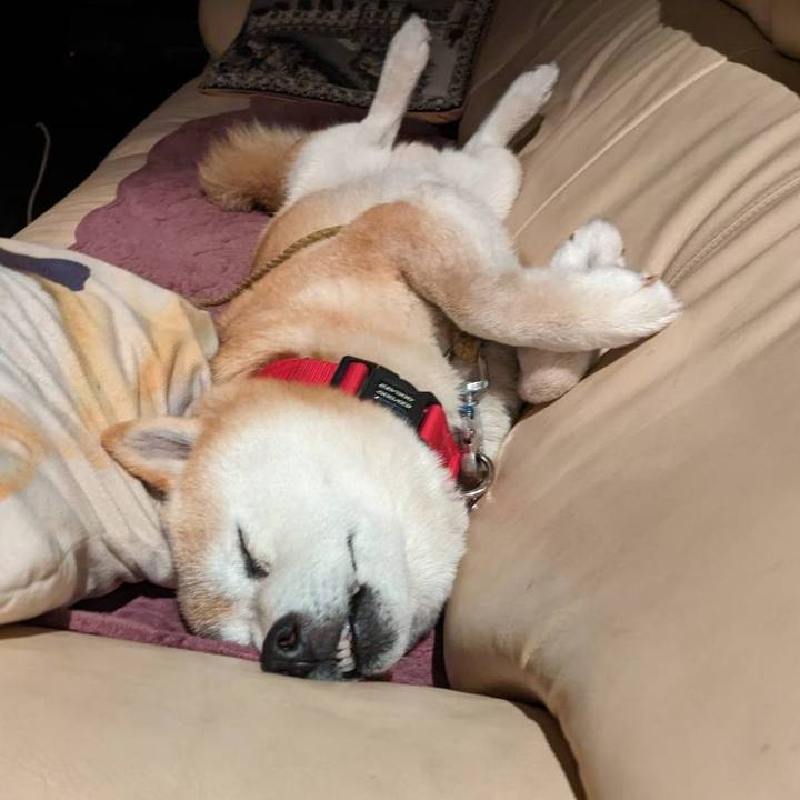 40b56ea8 aa20 4611 867d 0a940f5cb3f4 1711230138813