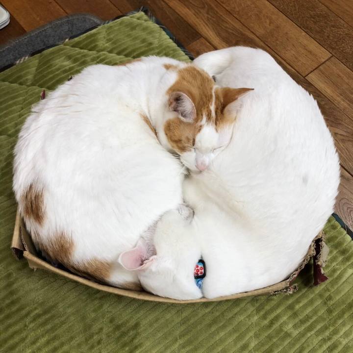 40b5744c a45a 45da 85c3 1a85182a2cde 1545146447966