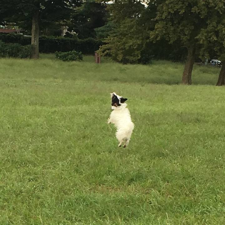 40b5deae c844 404c ac71 59b83d37d4d9 1510265122995