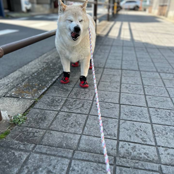 40b5e0e2 402c 4527 85f5 a394de55aafa 1739762278221