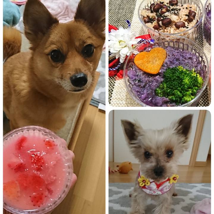 40b5e680 ada1 4075 8448 0f6905f0f0e3 1551579426980