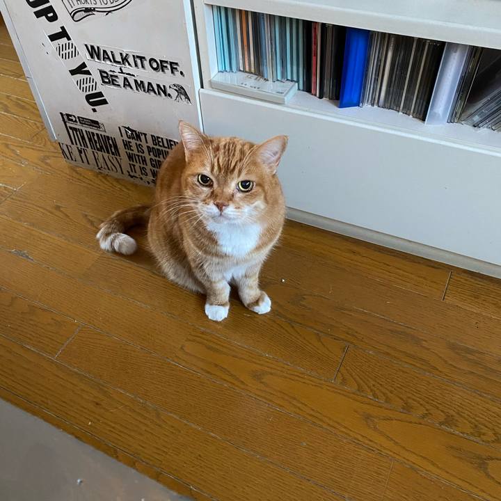 40b624f9 5e1d 41fb a178 bb838e64e71d 1674259540181