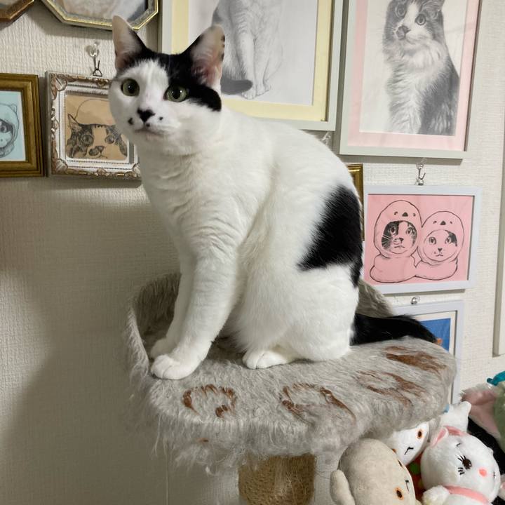 40b678bc a223 443a ba68 a9b0a517ef37 1774902603621