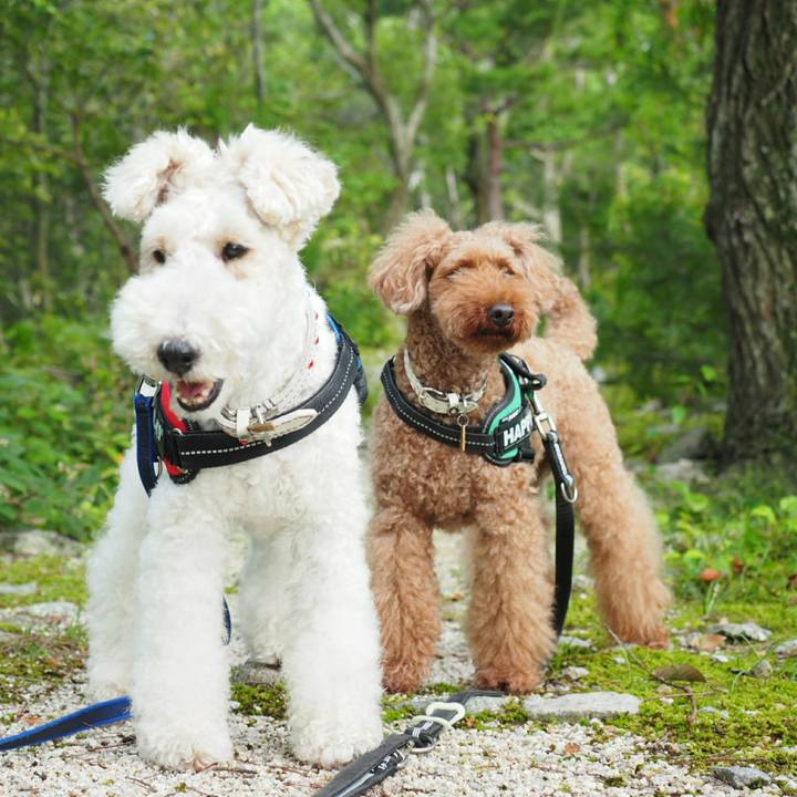 40b69d41 9286 475b 8270 12ff7d40f96f 1530401871115