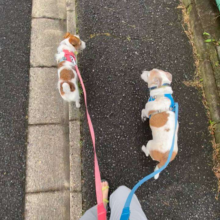 40b6a5d7 04c7 45d4 bcd8 6720d41cabe1 1687986717118