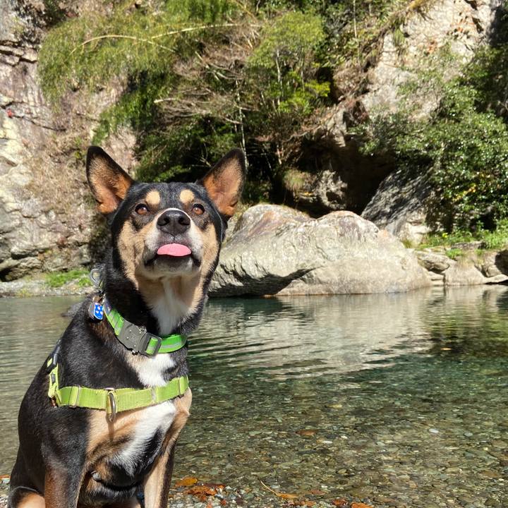 40b6b5ab c79f 4c91 b6b0 7c3035437d8e 1637425047126