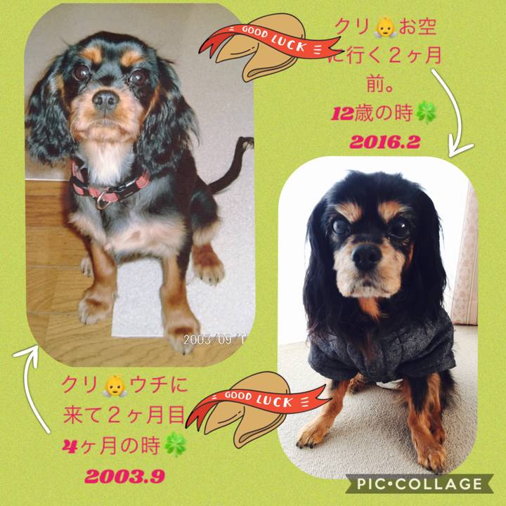 40b6d9d1 4bc5 4cf4 ac48 c5e116c7a314 1534890465490