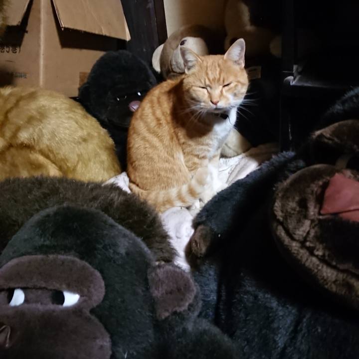 40b7ee8c fa0d 4f3c ae81 ae46be4c2931 1606472559851