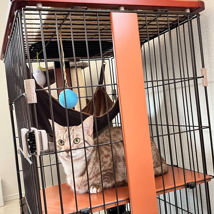 40b82797 c3bf 49ed b35c 887c376e95d1 1651621246439