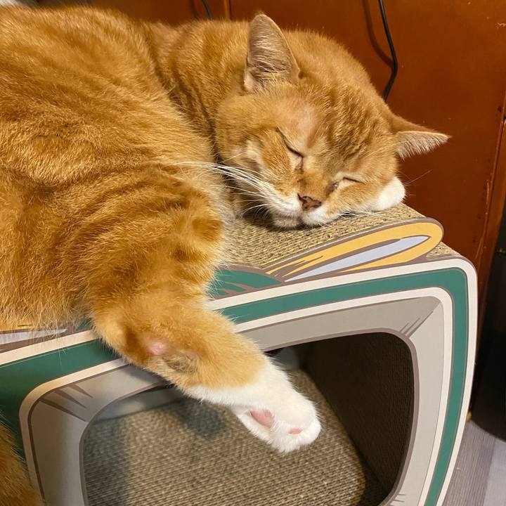 40b83567 5426 4bb8 80f9 90f430dae6a3 1632222723503