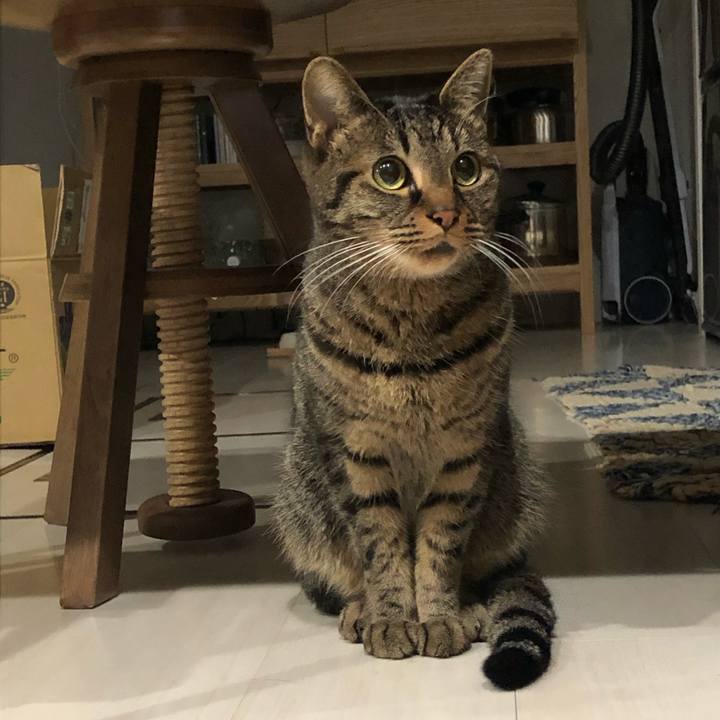 40b8d953 9d63 4fd1 8a9d 2076fcaca911 1575434001696