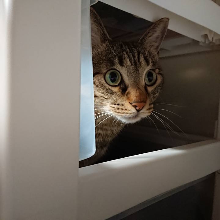 40b91445 c335 4e22 adfc f40b261f421d 1561262534132