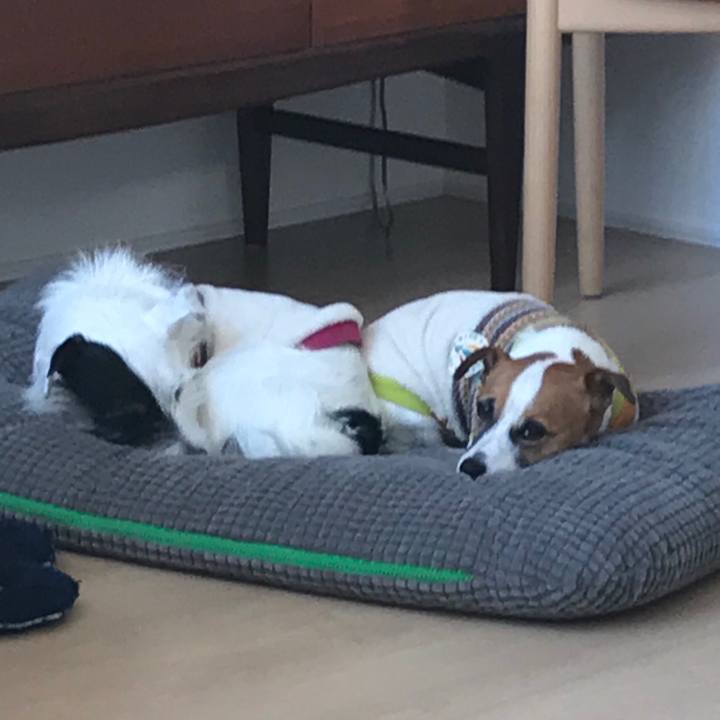 40b91568 b517 4e05 82c0 6e1ecdd32b93 1512946610771