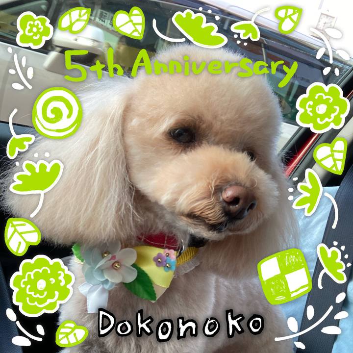 40b9229f 524b 474c 9e9f 5c9d8dce0d75 1623673561299