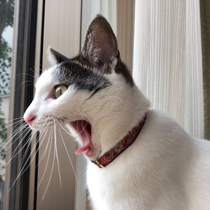 40b93865 29f1 43cc 9d87 5cb159a184ad 1630394939931