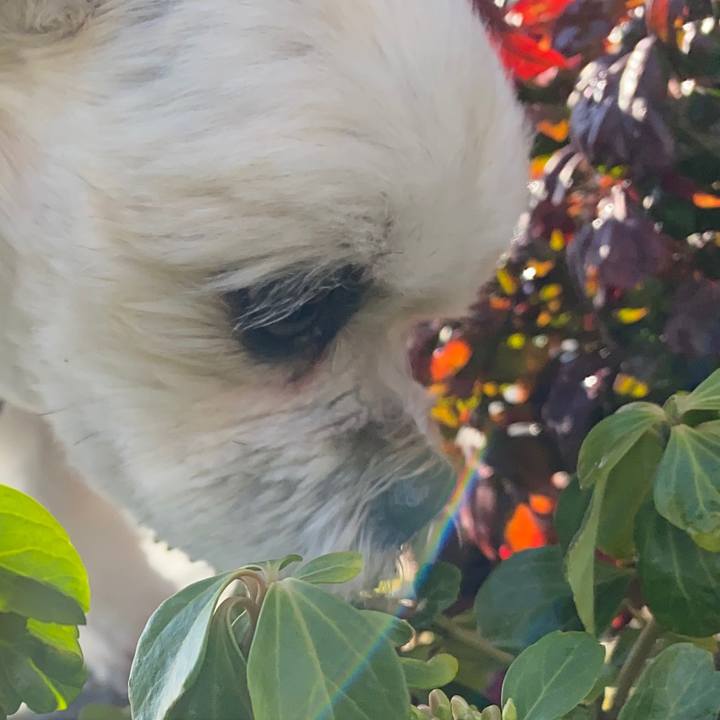 40b94367 85be 4507 9569 eb0aa8f371a3 1577074468380